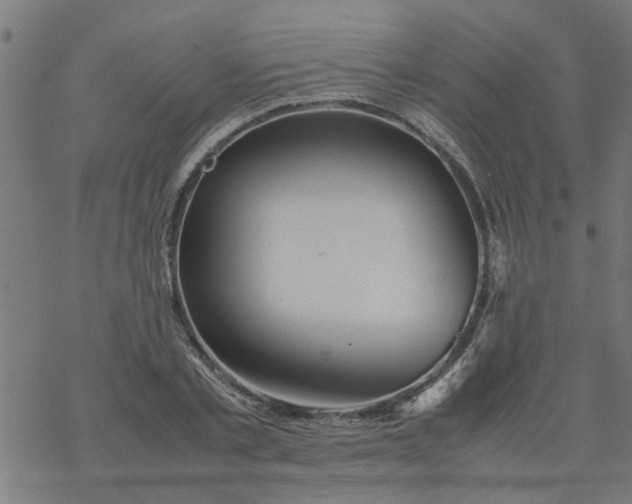 X0000077390789200611032000