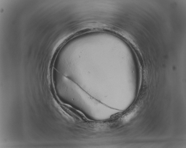 X0000077390791200611032000