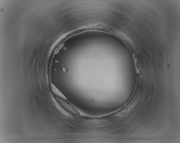 X0000077390792200611032000