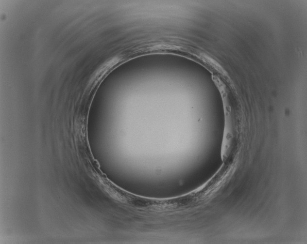 X0000077390793200611032000