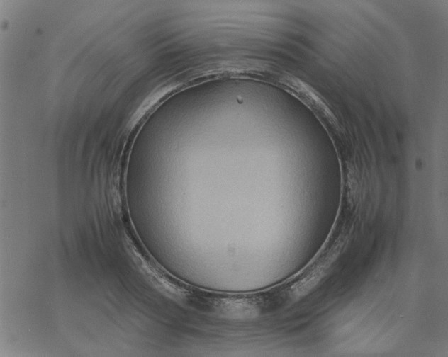 X0000077390794200611032000