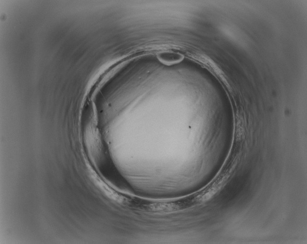 X0000077390795200611032000