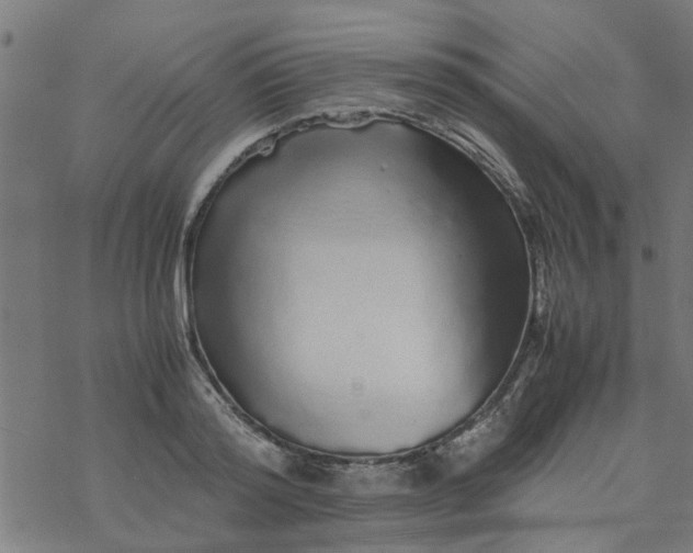 X0000077390796200611032000