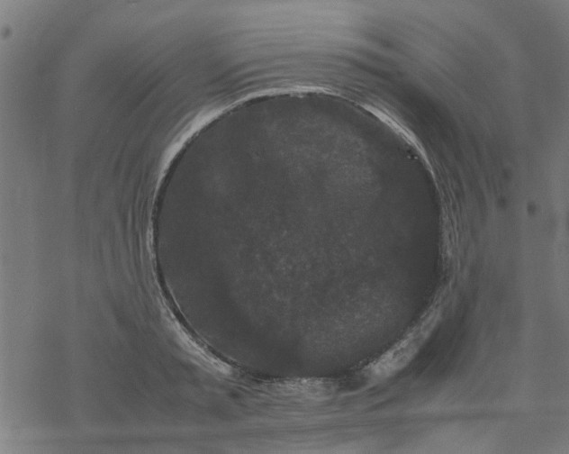 X0000077390797200611032000