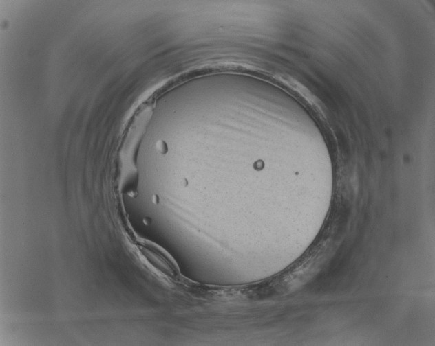 X0000077390799200611032000