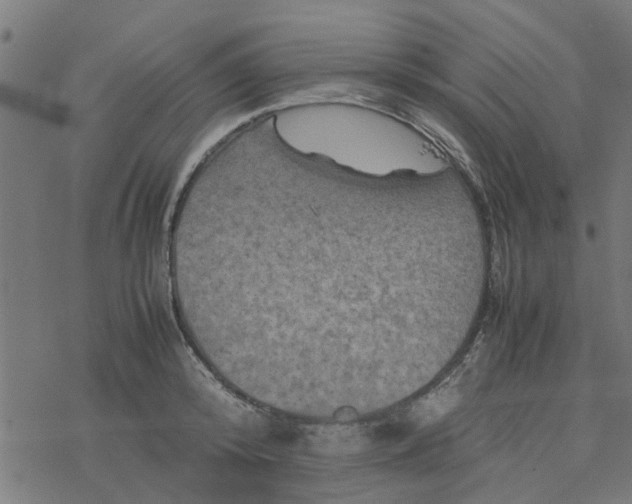 X0000077390800200611032000