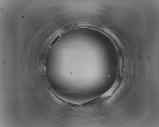 X0000077390801200611032000