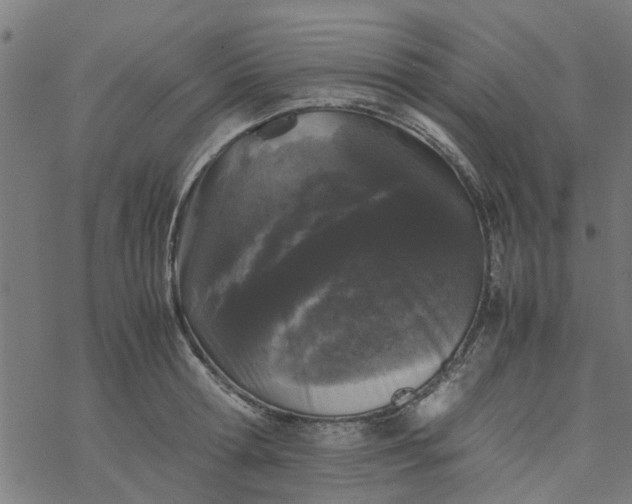 X0000077390802200611032000