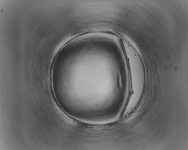 X0000077390803200611032000