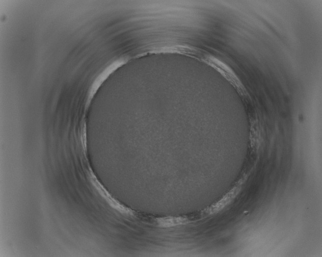 X0000077390804200611032000