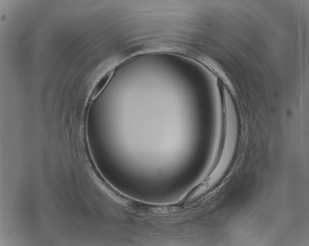 X0000077390805200611032000