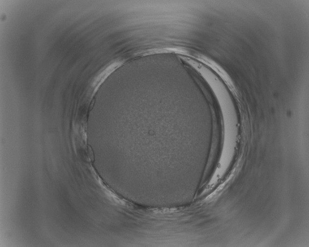 X0000077390809200611032000