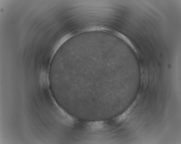 X0000077390810200611032000