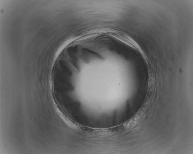 X0000077390811200611032000