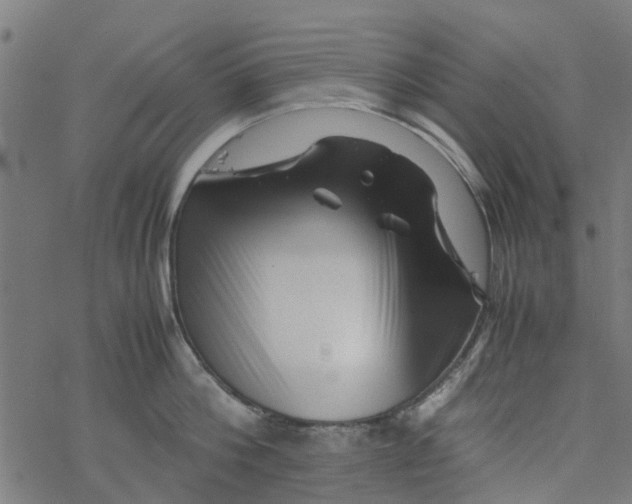 X0000077390812200611032000