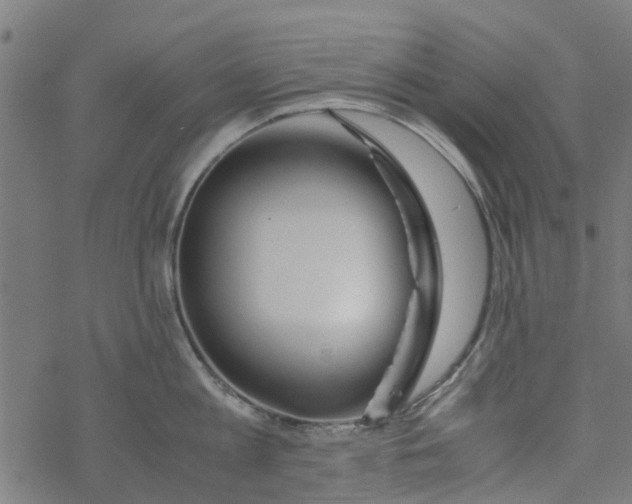 X0000077390813200611032000