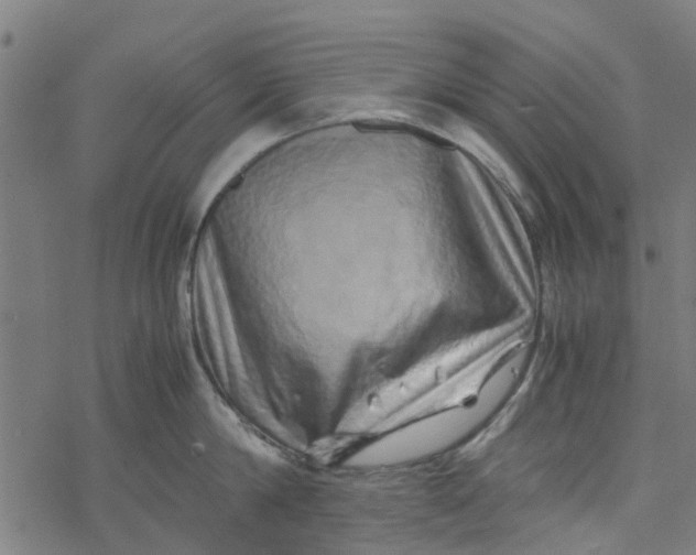 X0000077390814200611032000