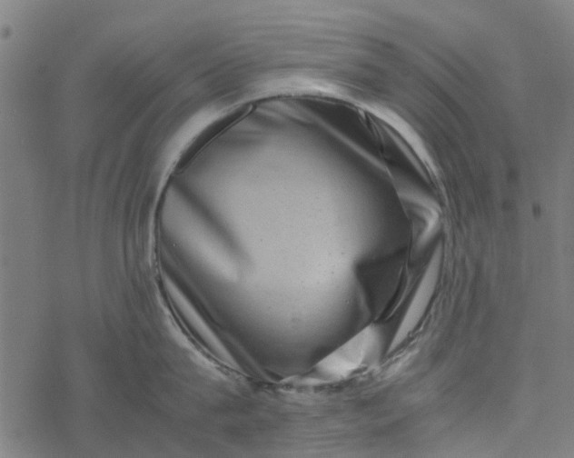 X0000077390815200611032000