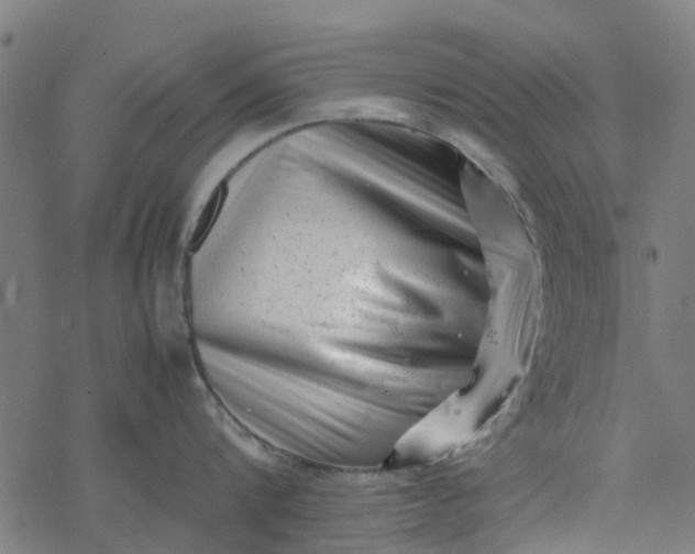 X0000077390816200611032000