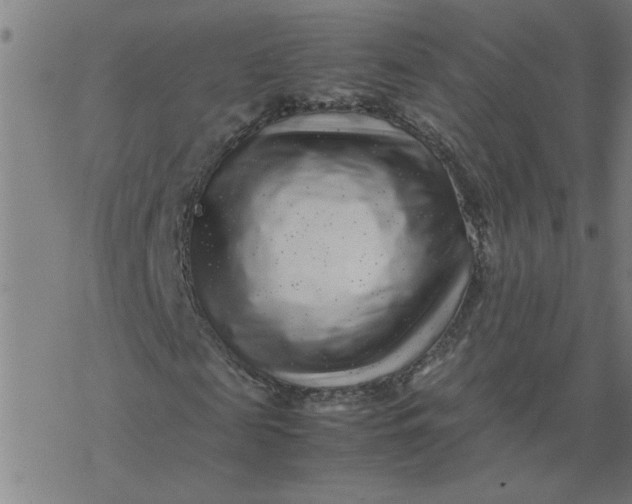 X0000077390817200611031959