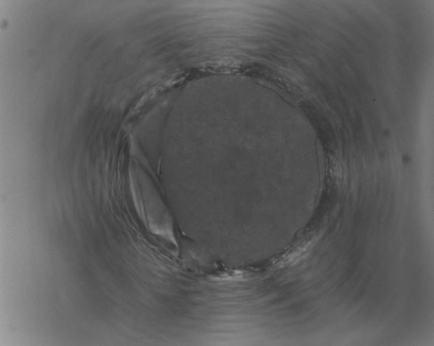 X0000077390818200611031959