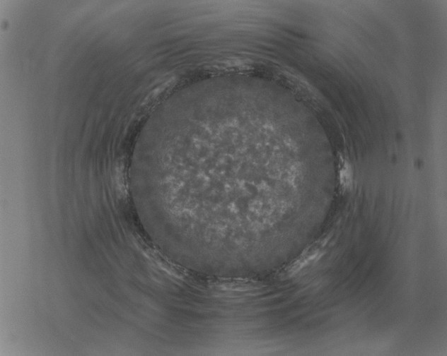 X0000077390819200611031959