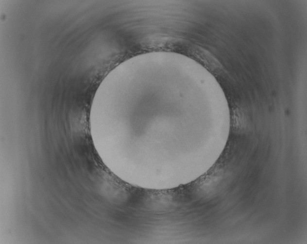 X0000077390820200611031959