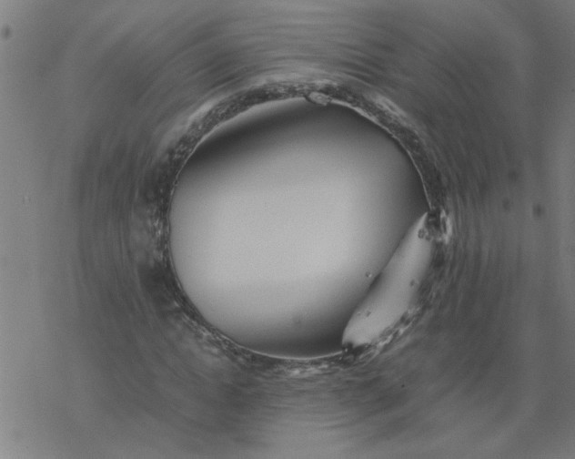 X0000077390822200611031959