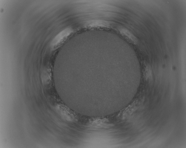 X0000077390824200611031959