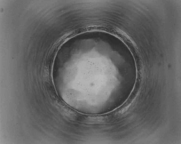 X0000077390825200611031959