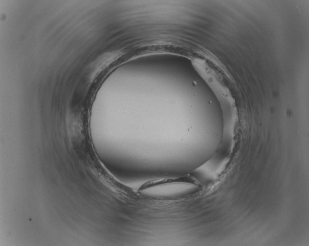 X0000077390826200611031959