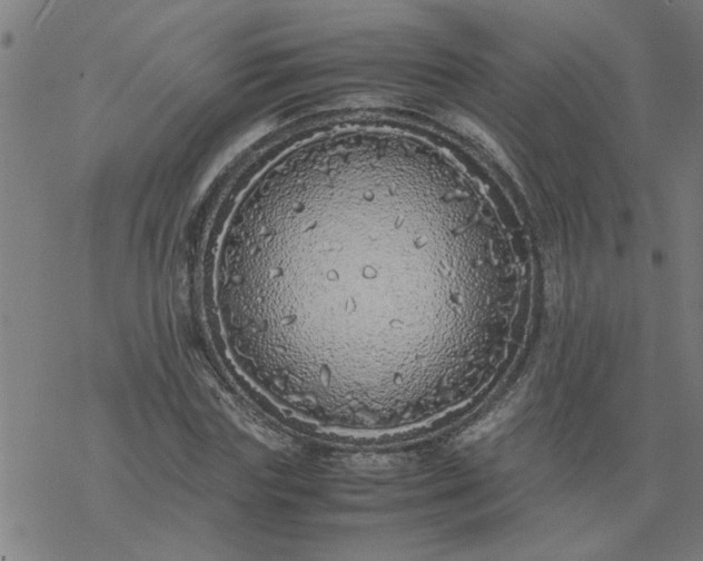 X0000077390827200611031959