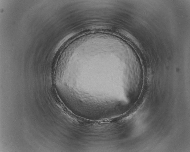 X0000077390829200611031959