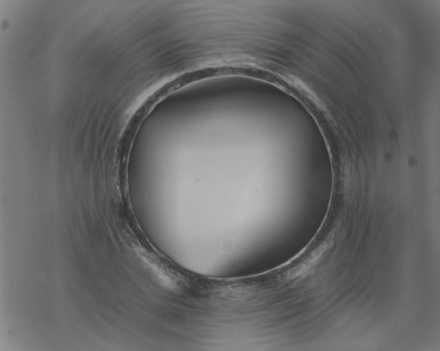 X0000077390830200611031959