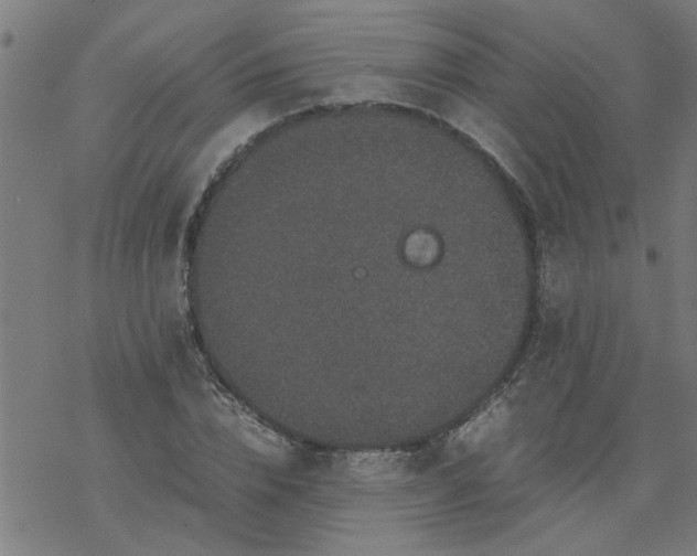 X0000077390832200611031959