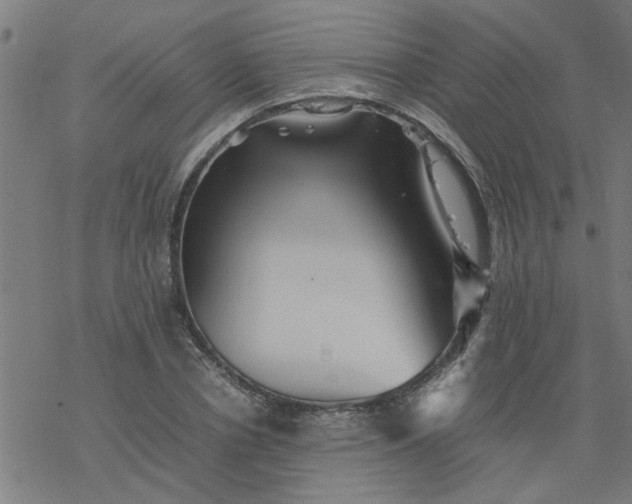 X0000077390834200611031959