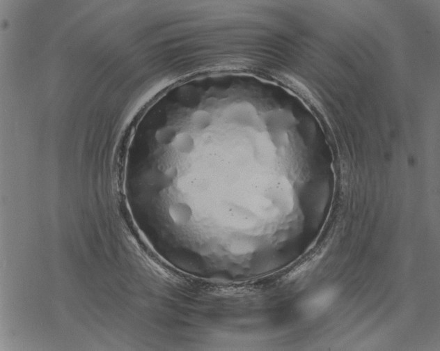 X0000077390835200611031959