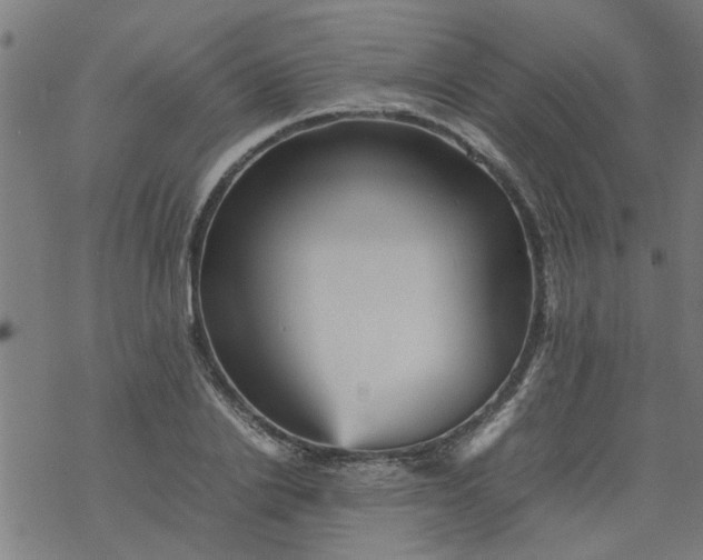 X0000077390838200611031959