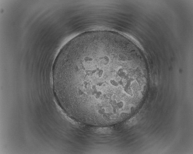 X0000077390839200611031959