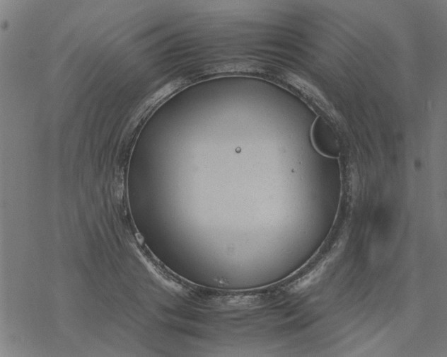 X0000077390841200611031959