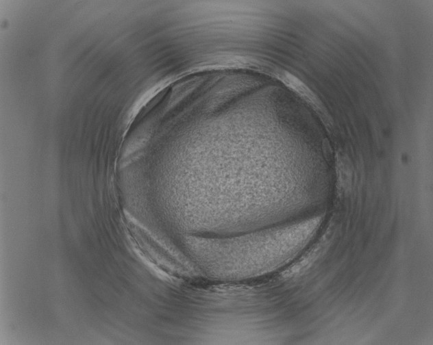 X0000077390842200611031959