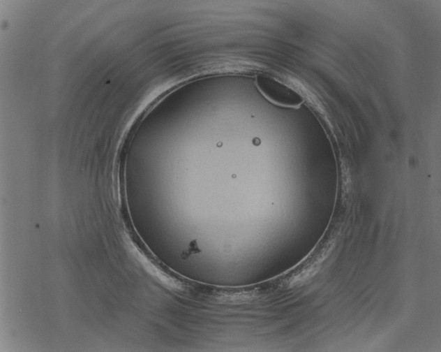 X0000077390843200611031959