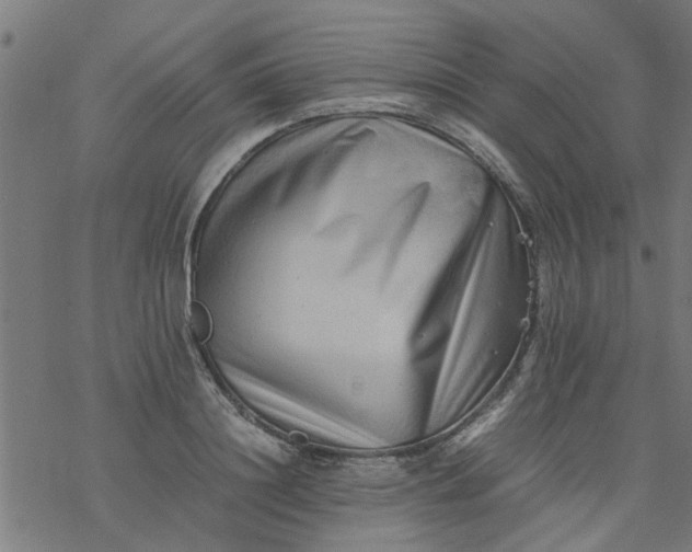 X0000077390844200611031959