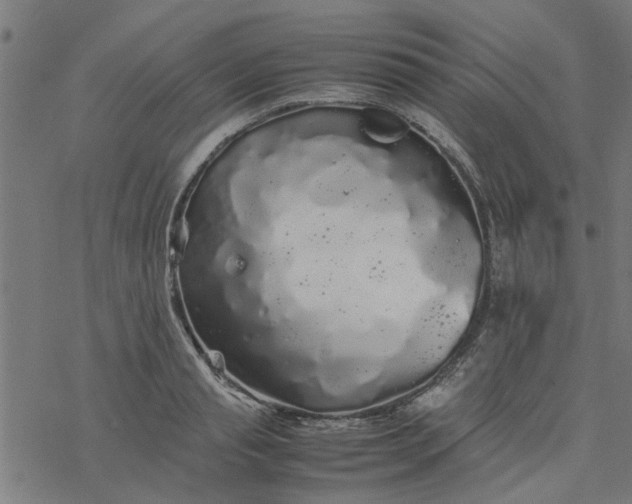 X0000077390845200611031959