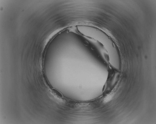 X0000077390846200611031959