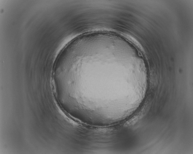 X0000077390847200611031959