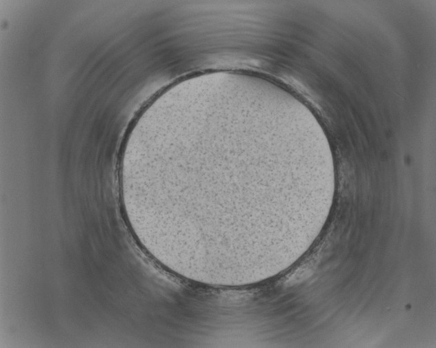 X0000077390848200611031959