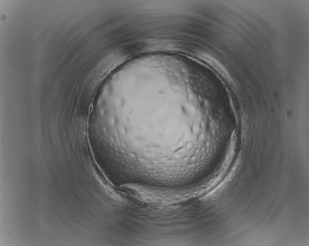 X0000077390849200611031959