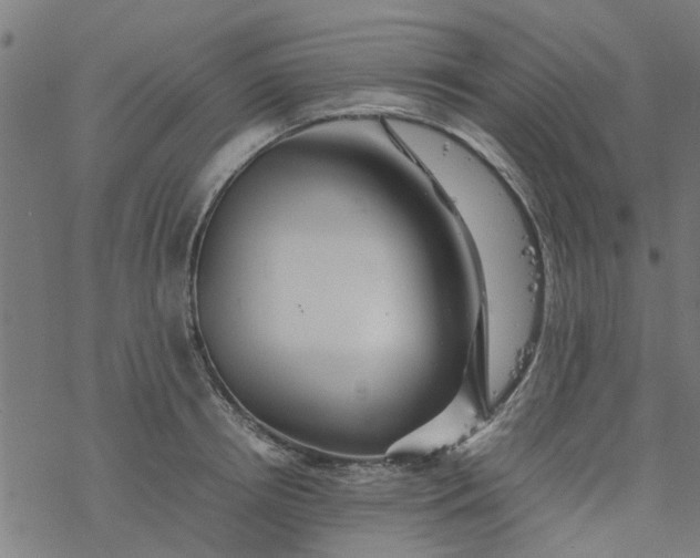 X0000077390850200611031959