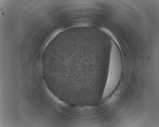 X0000077390851200611031959